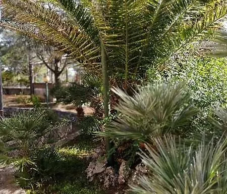 Tatil Evi Relax In Natura Con Lo Sguardo Sulla Valle D'itria